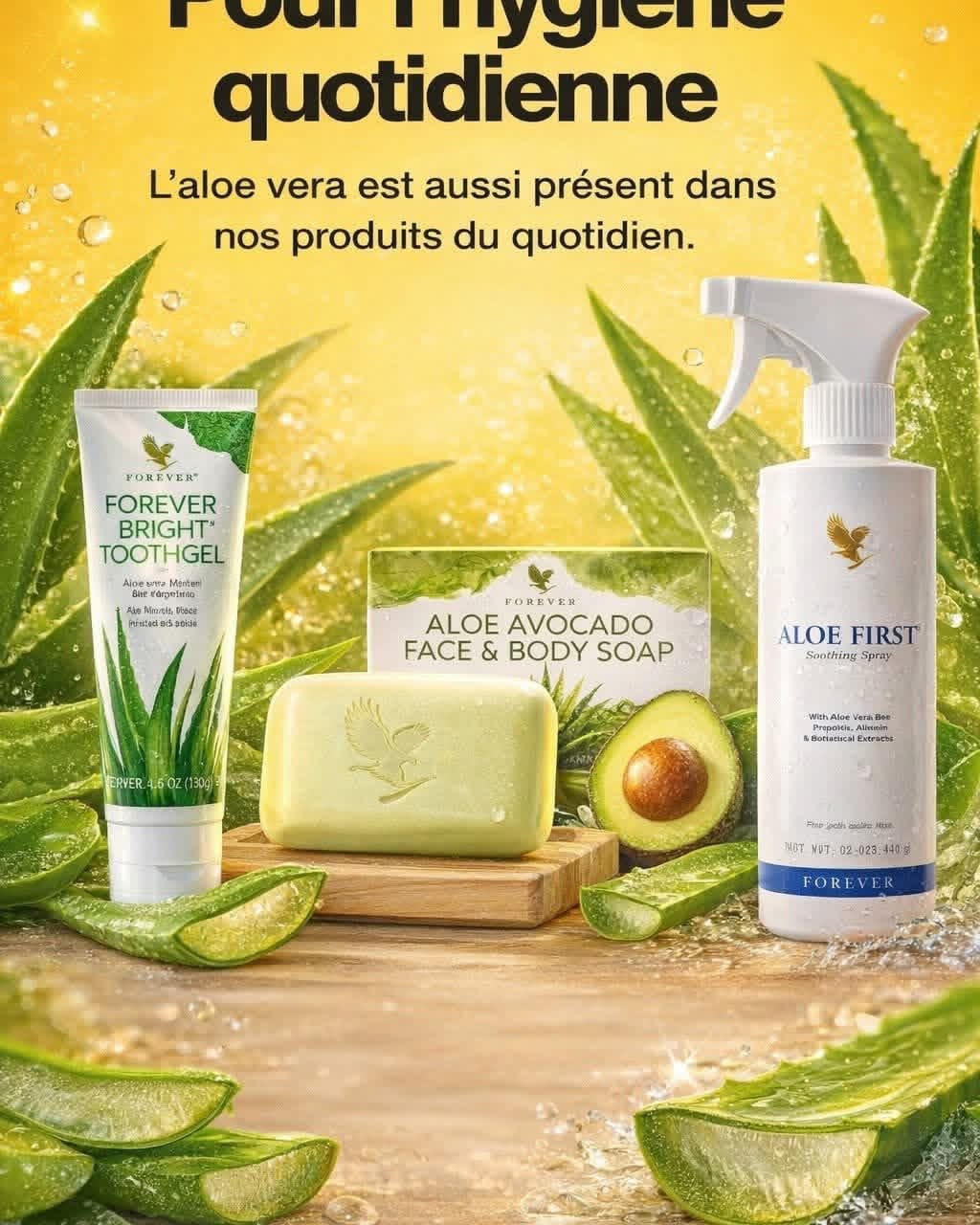 Natural Aloe Healing Bundle