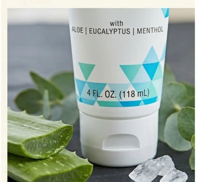 Close-up of the key ingredients: Aloe Vera leaf, Menthol crystals, and Eucalyptus