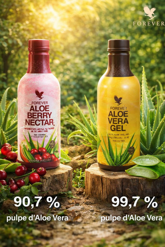 Aloe Vera Drink Bundle