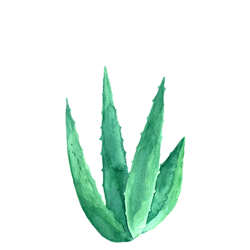 https://cdn.foreverliving.com/content/cards/images/aloe_barbadensis_leaf_juice_-_ingredient_ingredient_256x256_1558445297084.png