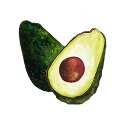 https://cdn.foreverliving.com/content/cards/images/avocado_butter_-_ingredient_ingredient_352x352_1556147020869.png