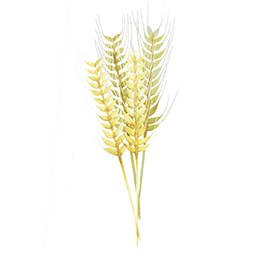 https://cdn.foreverliving.com/content/cards/images/barley_grass_powder_-_ingredient_ingredient_256x256_1558535233149.png