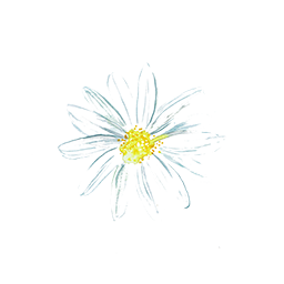 https://cdn.foreverliving.com/content/cards/images/centipeda_cunninghamii_extract_-_ingredient_ingredient_256x256_1558441060651.png