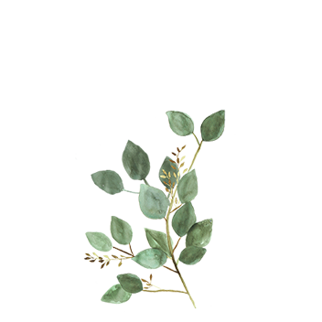 https://cdn.foreverliving.com/content/cards/images/eucalyptus_-_ingredient_ingredient_352x352_1558436516252.png