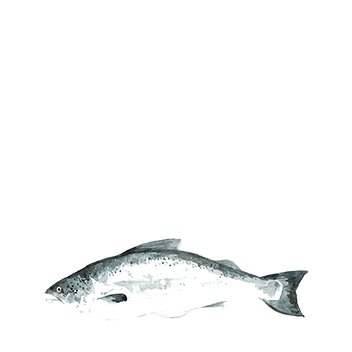 https://cdn.foreverliving.com/content/cards/images/fish_oil___omega-3_-_ingredient_ingredient_256x256_1558449256240.png