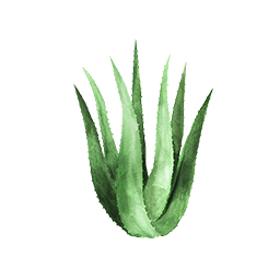 https://cdn.foreverliving.com/content/cards/images/stabilized_aloe_vera_gel_-_ingredient_ingredient_256x256_1556303855250.png