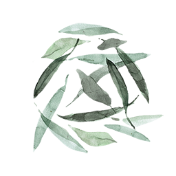https://cdn.foreverliving.com/content/cards/images/white_tea_extract_-_ingredient_ingredient_256x256_1558534324909.png